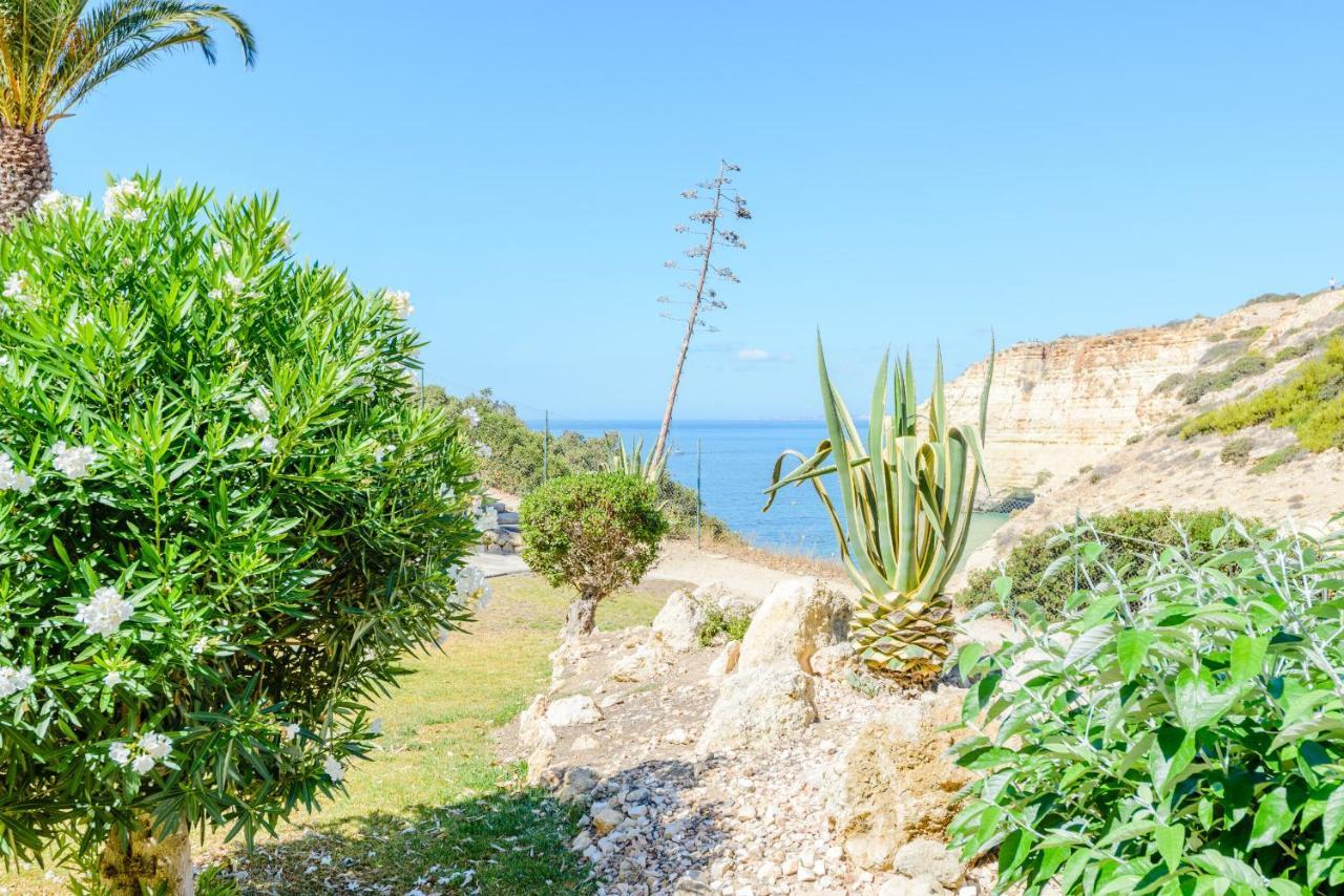 The Little Paradise With Sea Views Carvoeiro  Eksteriør billede